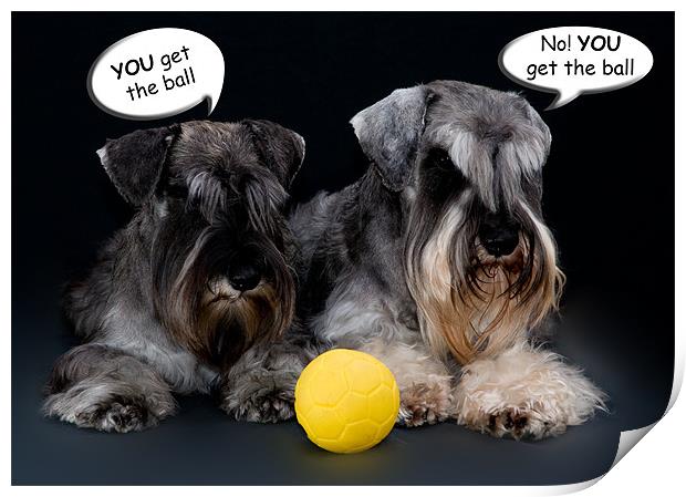 Arguing Dogs Print by Eddie Howland