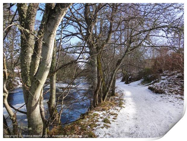 Path along the River Nethy Print by Thelma Blewitt