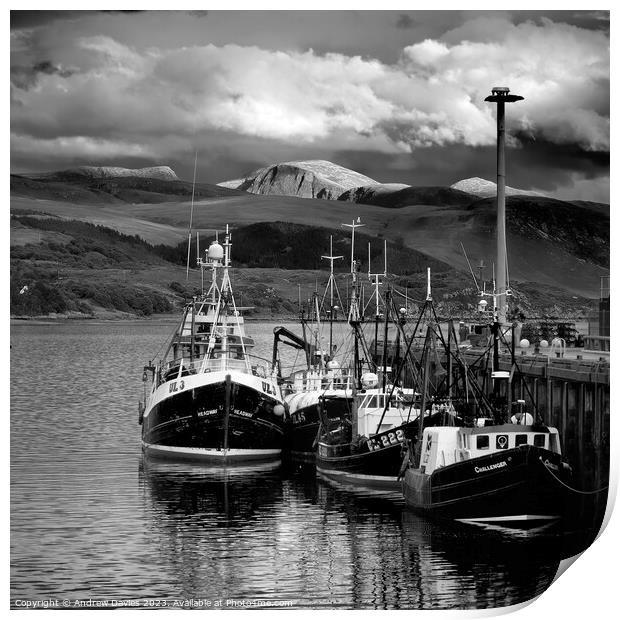 Ullapool Harbour and Loch Broom Print by Andrew Davies