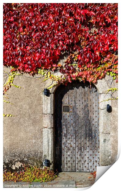Autumn colours at Crathes Castle, Banchory, Aberde Print by Andrew Davies