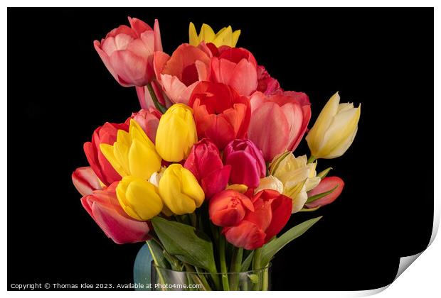 Close-up of a colourful bouquet of fresh tulips Print by Thomas Klee