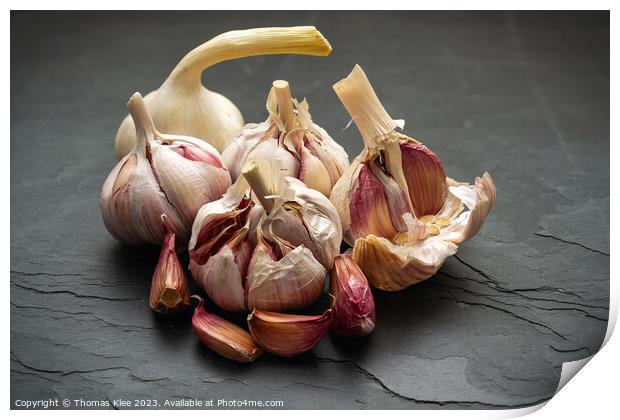 Still life, Fesh Garlic on slate Print by Thomas Klee