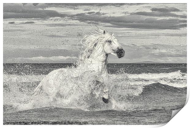 White Stallion in the Sea Print by Helkoryo Photography