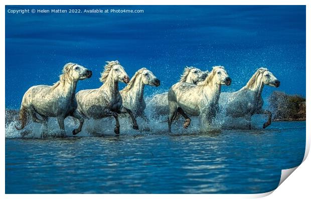 Wild White Horses Water Blue Print by Helkoryo Photography
