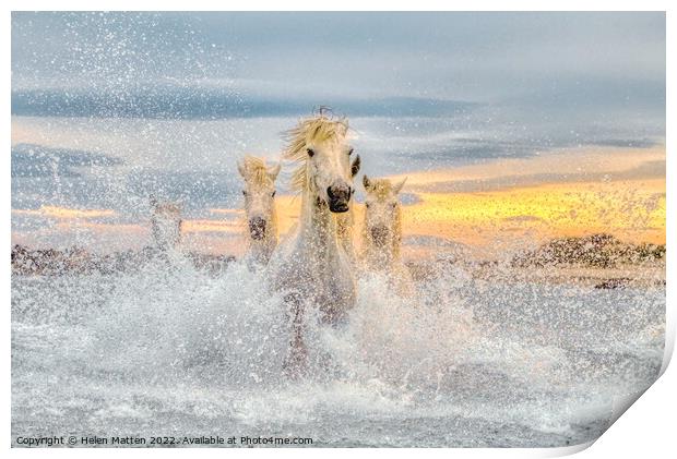 Camargue Wild White Horses in the Sea Pastel  Print by Helkoryo Photography