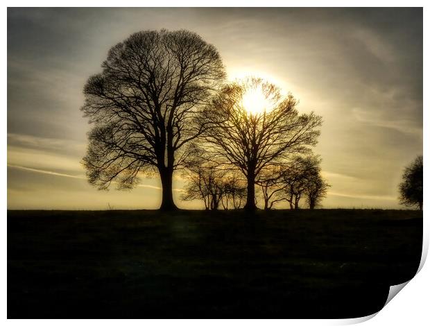 Moody Trees on Borough Hill Daventry Print by Helkoryo Photography
