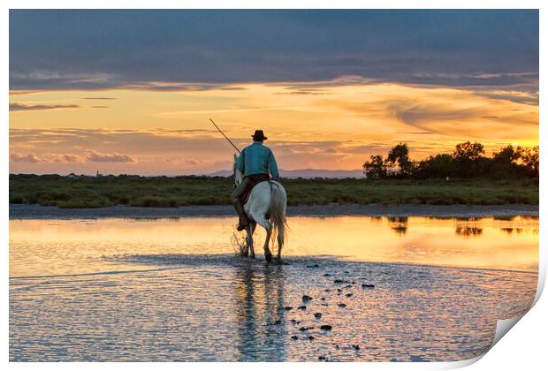 Camargue Gardian out in the Marshes Print by Helkoryo Photography