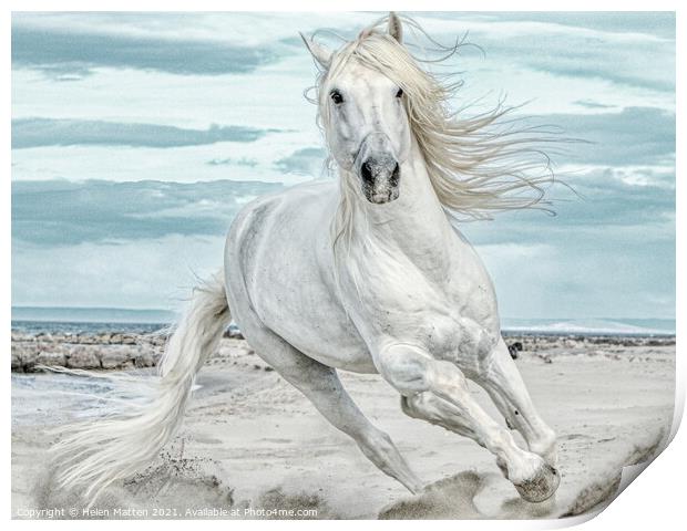 Camargue Stallion Cantering Head on in the Sand Pa Print by Helkoryo Photography