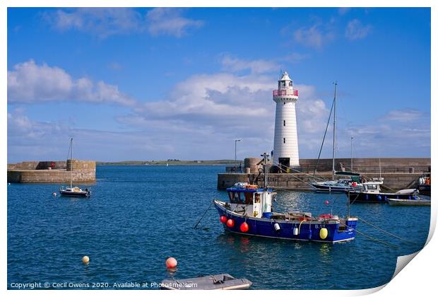 Donaghadee lighthouse Print by Cecil Owens