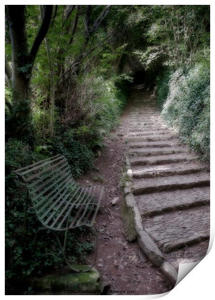 Secluded pathway and bench at Buckfastleigh, Devon, UK. Print by Peter Bolton