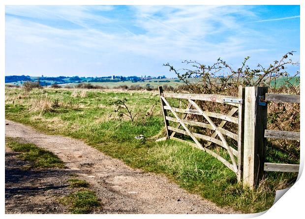 A view through a farm gate at Two Tree Island, with Hadleigh Castle on the horizon. Essex, UK.  Print by Peter Bolton