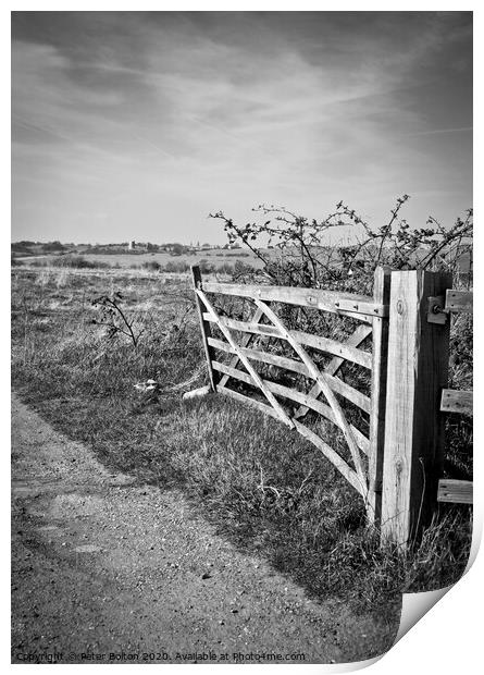 A view through a farm gate at Two Tree Island, with Hadleigh Castle on the horizon. Essex, UK.  Print by Peter Bolton
