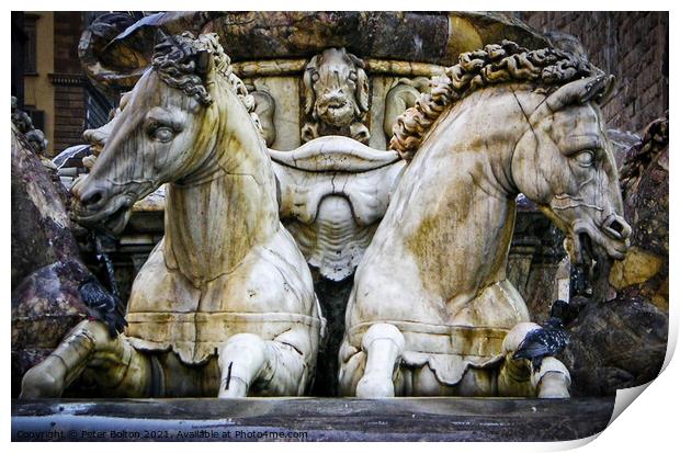 Statues of horses on a fountain in Florence, Italy. Print by Peter Bolton