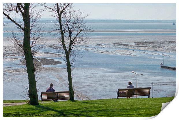 View overlooking the estuary from the cliff gardens, Southend on Sea, Essex, UK. Print by Peter Bolton