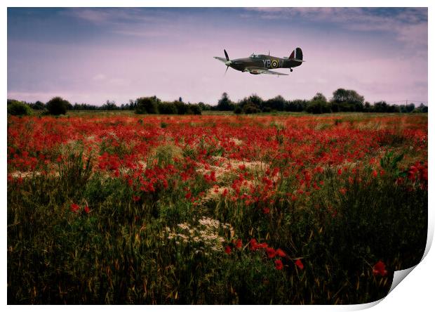 Hawker Hurricane flying low over a field of poppies at dusk. Digital art. Print by Peter Bolton
