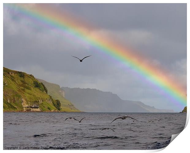 Rainbow Over The Isle Of Skye Print by Carla Maloco