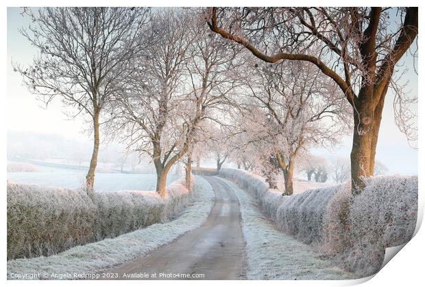 Quiet country lane in the frost Print by Angela Redrupp