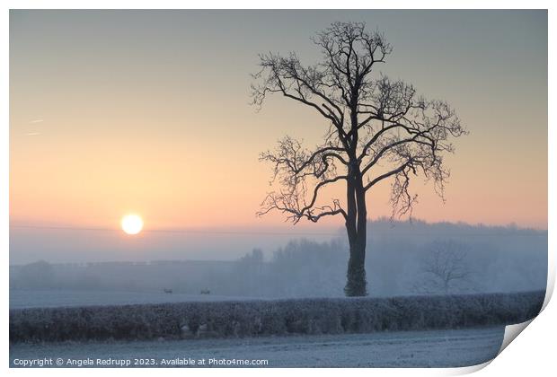 Misty, frosty sunrise Print by Angela Redrupp