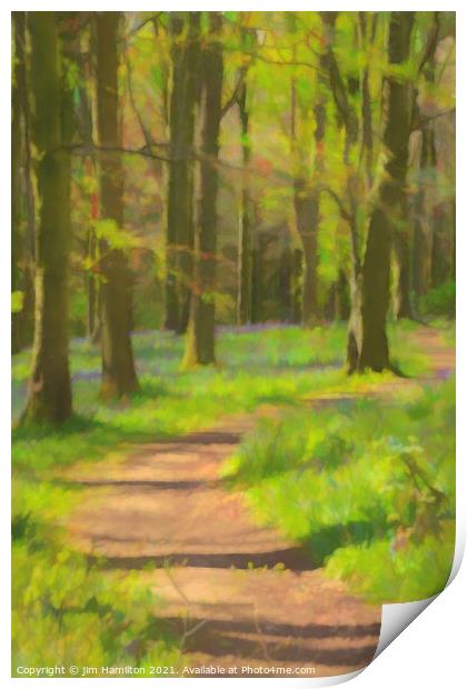 Bluebell forest Print by jim Hamilton