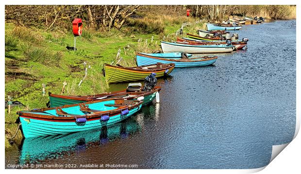 Killarney boats Print by jim Hamilton