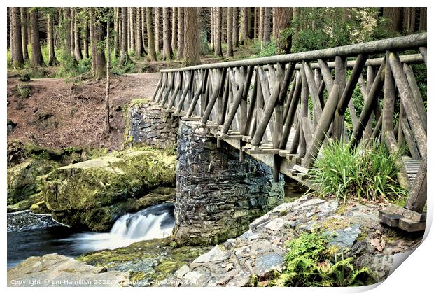 Tollymore Forest Park Print by jim Hamilton