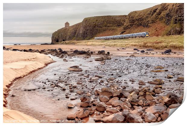 Downhill beach Causeway coast Northern Ireland Print by jim Hamilton