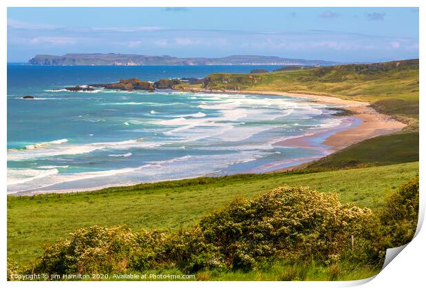 Rolling Waves and Verdant Coastlines Print by jim Hamilton