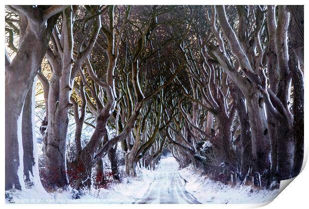 Snow at the Dark Hedges Print by jim Hamilton