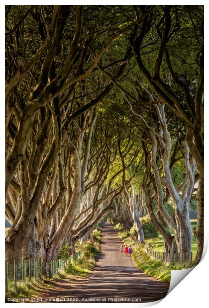Dark hedges, Northern Ireland Print by jim Hamilton