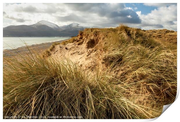 Murlough beach and Sand dunes Print by jim Hamilton