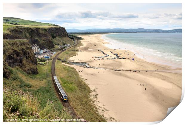 Downhill beach, Northern Ireland Print by jim Hamilton