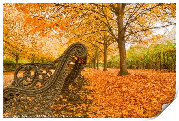 Autumn In Regents Park Print by Raymond Hill
