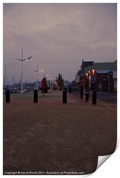 Hull Marina Print by David Borrill
