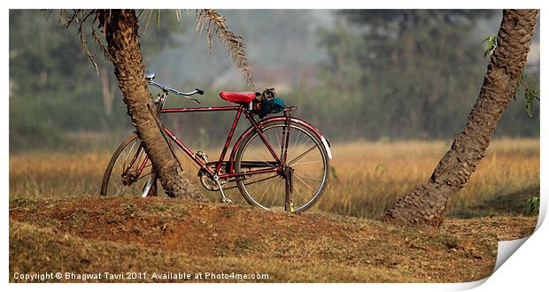 Bicycle in RED Print by Bhagwat Tavri