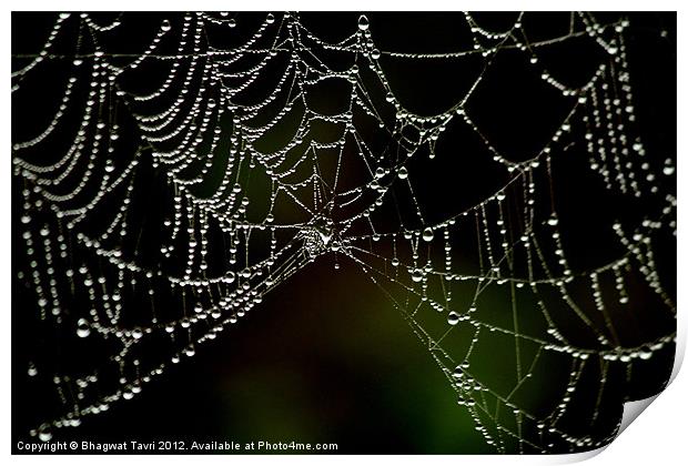 Diamond Necklace. Print by Bhagwat Tavri