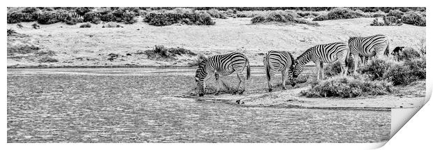 The Water Hole Print by Sylvia White