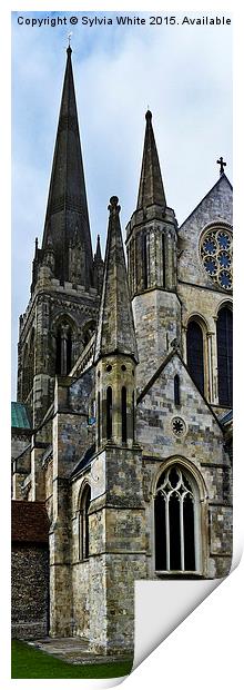  Chichester Cathedral Print by Sylvia White