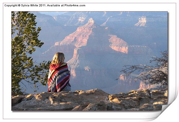 Enjoying a Sunset over the Grand Canyon Print by Sylvia White