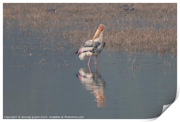 lonesome Print by anurag gupta