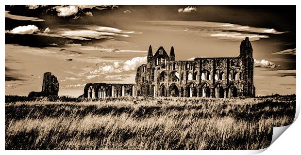 Whitby Abbey Print by Craig Burley