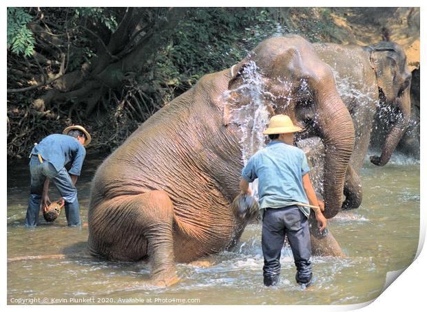 Elephants of Thailand Print by Kevin Plunkett