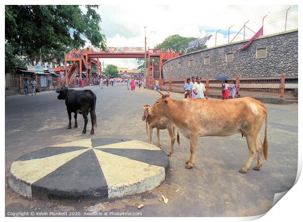 Nuwara Eliya, Sri Lanka Print by Kevin Plunkett