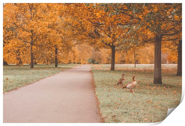 Autumn in the Hyde Park Print by Danilo Cattani