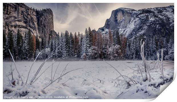 Half Dome in Yosemite in snow Print by harry van Gorkum