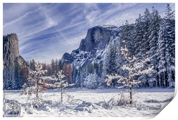 Half Dome in Yosemite in snow with fall trees in t Print by harry van Gorkum