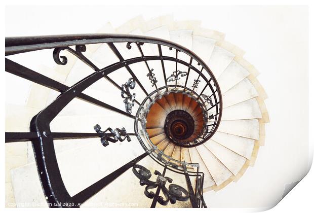 Spiral Staircase Print by Efraim Gal