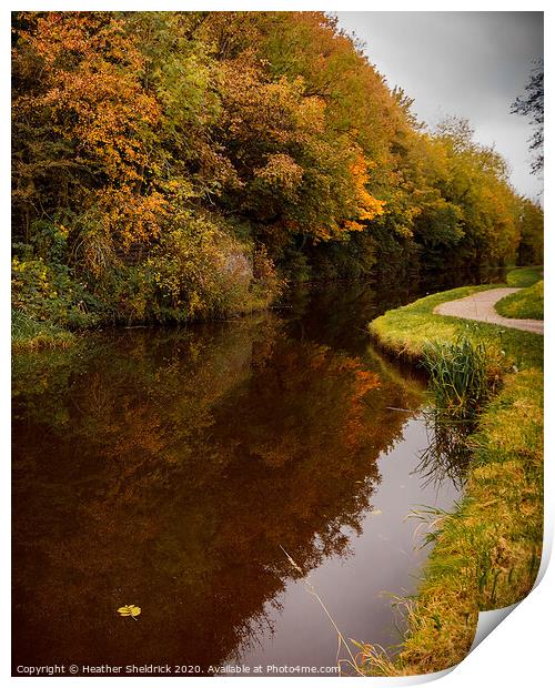 Autumnal trees reflected in canal Print by Heather Sheldrick