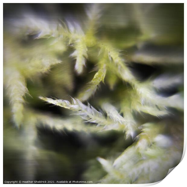Calming Abstract Moss  Print by Heather Sheldrick