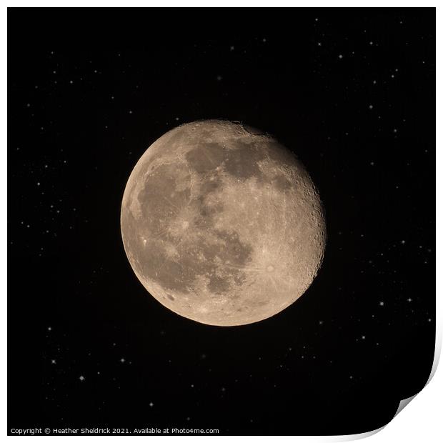 Moon At Midnight Print by Heather Sheldrick