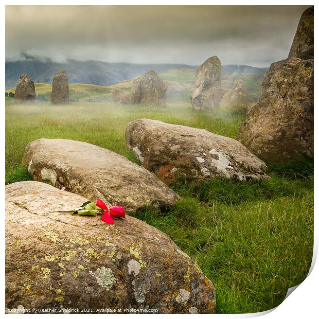 Misty Rose on Ancient Stones Print by Heather Sheldrick